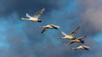 _DSC4682-ARW_DxO_DeepPRIMEXD169r