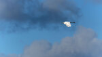 _DSC4783-ARW_DxO_DeepPRIMEXD169r