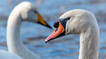 _DSC4874-ARW_DxO_DeepPRIMEXD169r