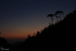 IMG_9420