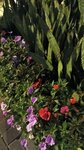 IMG-20250322-WA0182