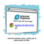 Internet Explorer - Programming Joke