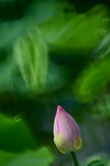 DSC_2752.jpg a