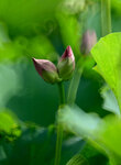 DSC_2820.jpg a