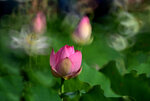 DSC_2831.jpg a