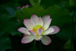 DSC_2874.jpg a