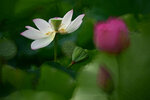 DSC_2879.jpg a