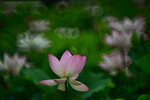 DSC_2900.jpg a