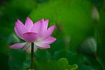 DSC_2908.jpg a