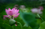DSC_2922.jpg a