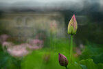 DSC_2925.jpg a
