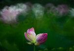 DSC_3041.jpg a