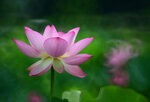 DSC_3078.jpg a