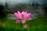 DSC_3081.jpg a