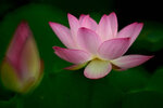 DSC_3086.jpg a
