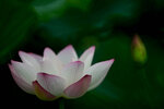 DSC_3094.jpg a