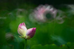 DSC_3104.jpg a