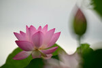 DSC_3117.jpg a