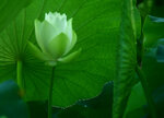 DSC_2535.jpg a