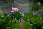 DSC_3417.jpg a