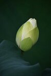 DSC_3425.jpg a