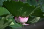 DSC_3431.jpg a