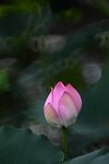 DSC_3435.jpg a