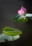 DSC_3441.jpg a