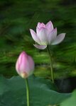 DSC_3443.jpg a