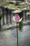 DSC_3446.jpg a