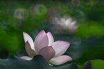 DSC_3448.jpg a