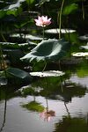 DSC_3475.jpg a
