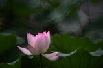 DSC_3488.jpg a