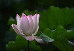 DSC_3491.jpg a
