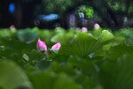 DSC_3493.jpg a