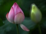 DSC_3498.jpg a