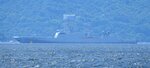 DSC02447.jpg a