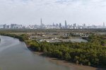 DJI_20250208090724_0028_D