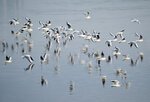 DSC03266