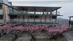 IMG_20250227_063356