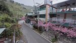 IMG_20250227_063412