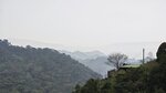 IMG_20250227_073334
