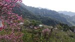 IMG_20250227_073539