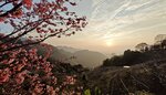 IMG_20250227_173756