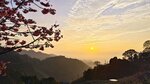 IMG_20250227_173811
