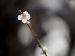 0084