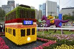 _DSC8145.jpg a