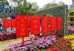 _DSC8161.jpg a