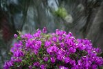 DSC_0548.jpg a