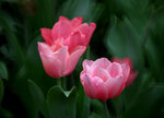 DSC_0569.jpg a